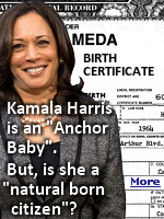 The constitutional qualification states that only natural born citizens can be president. Many scholars have claimed that to be a natural born citizen, at least one parent must be a U.S. citizen. All indicators thus far point to neither of Harris’ parents being citizens at the time of her birth. 